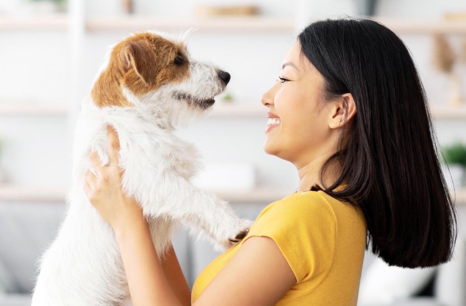 記事画像 「獣医学フォーラムやウェビナーへの参加がペットの寿命を延ばす方法」
